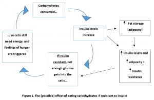 The effect of eating carbohydrates if resistant to insulin