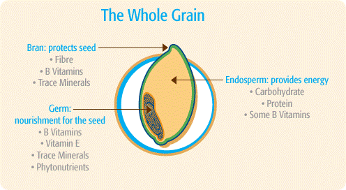 Wholegrains, processed carbs and health.