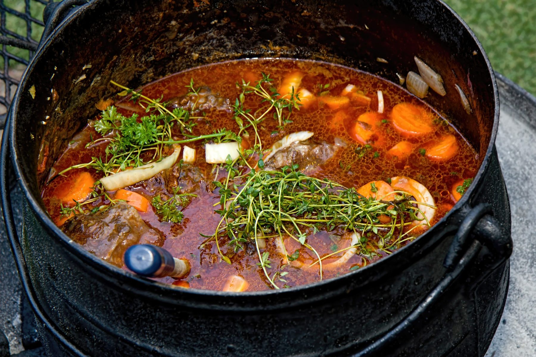 Slow cooked Beef and Kidney Stew with Vegetables