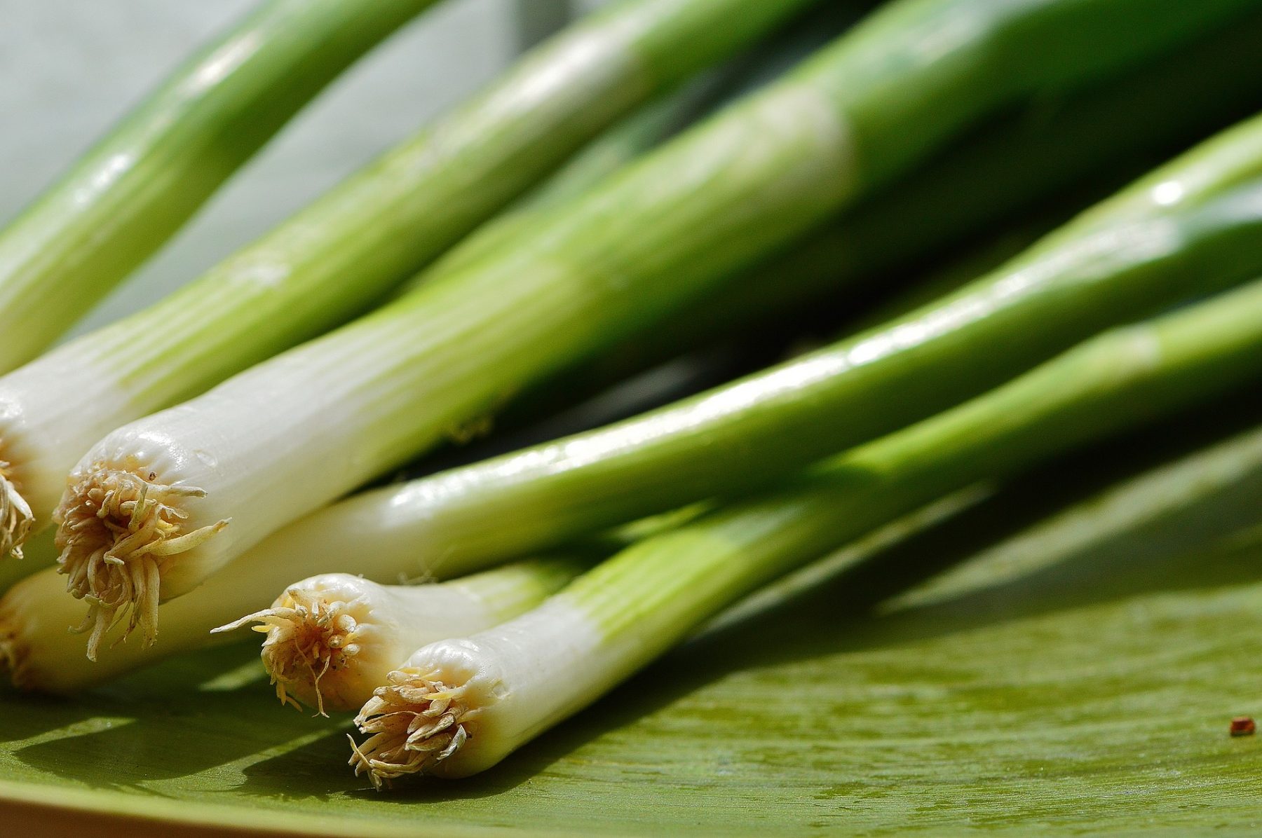 Braised Leeks