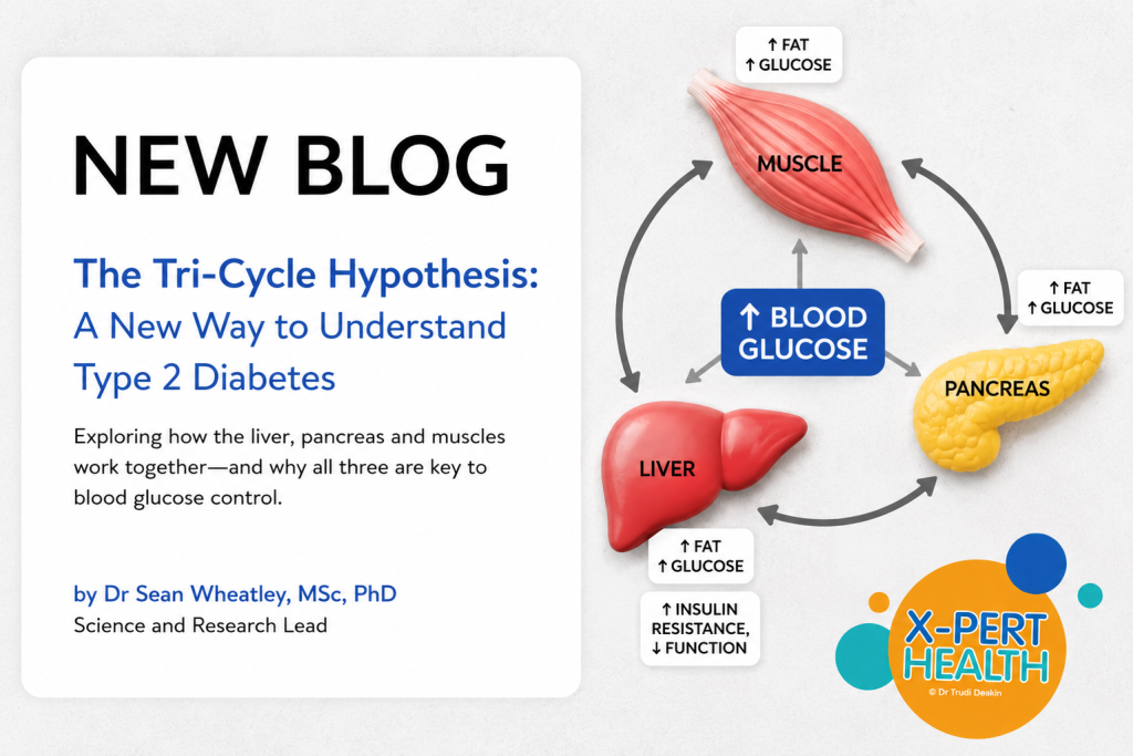 Understanding diabetes cycle blog